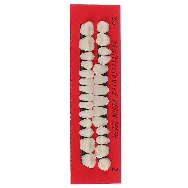 28st akrylharts tandprotes övre nedre nyans 23# A2 Dental