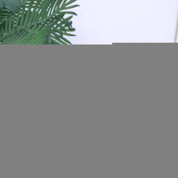 Myk Koala Plysjleketøy Liten 13cm[YJD] 1pcs