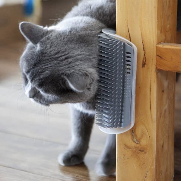 Kattborste för pälsvård – Förlängd version (15,5 cm) – Vinklad borste för kliande och massage (grå) – 2-pack (YJD)