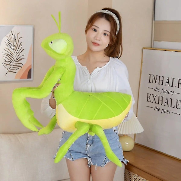 70cm Kawaii Grön Bönsyrsna Plush Leksak Simulation Fylld Djur Insekt Mjuk Docka Kudde Barnfödelsedagspresent För Pojke Baby_v (YJD)