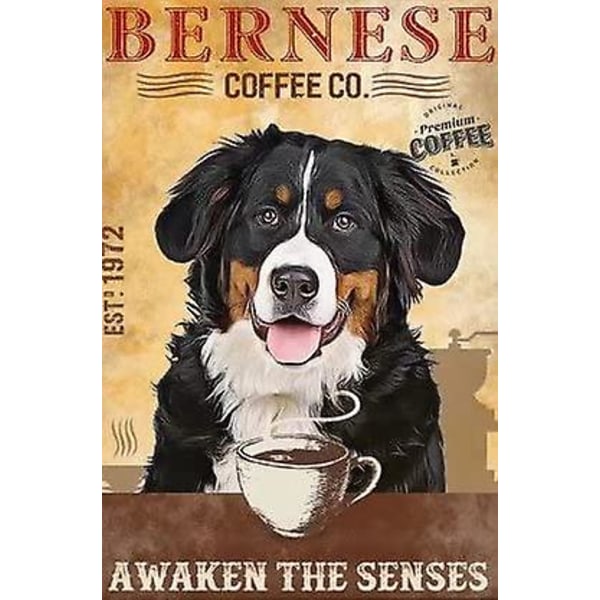 Bernerhund Retro plåtskylt, Badtvål Co-affisch, Badrumsväggdekor Metallskyltmålning 12x8 tum (YJD) Awaken The Senses 12x8 inch