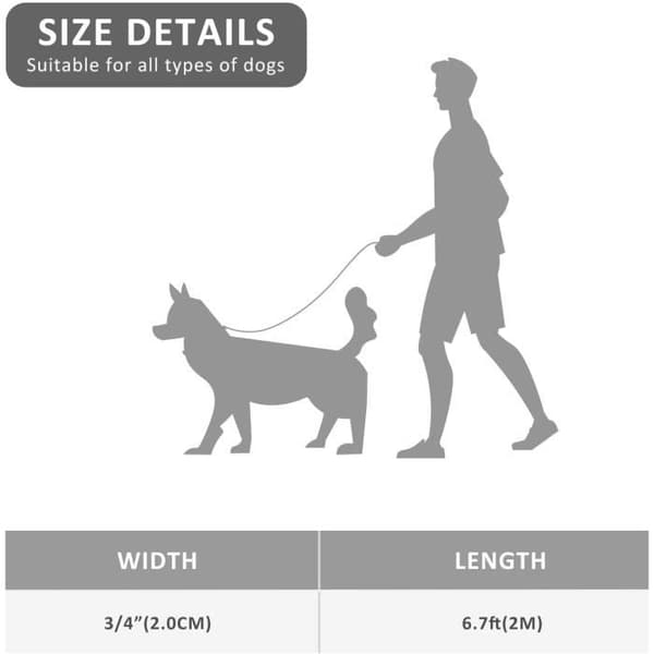 Slitstarkt hundträningskoppel - 2m - Blå/Röd - Utomhus - Nylon - Rep (YJD)
