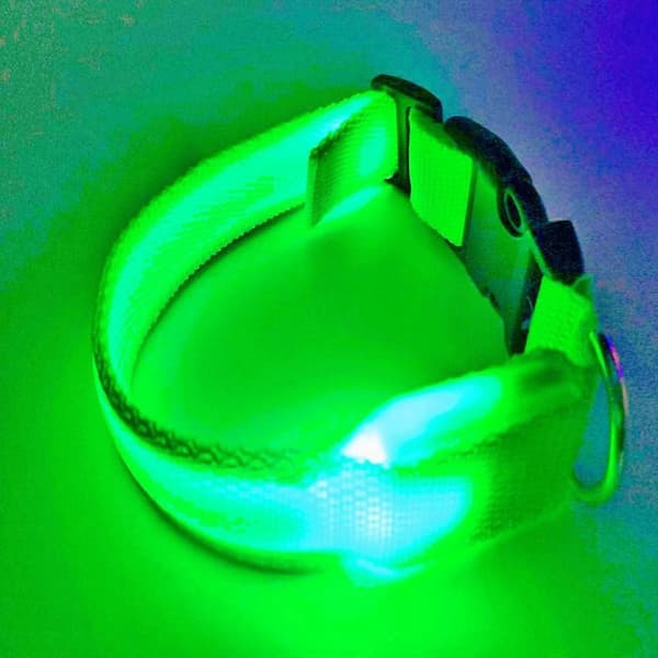 LED hundhalsband, uppladdningsbart, lysande, justerbart, reflekterande