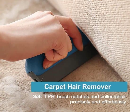 Hårskrape Dyrehårfjerner Gjenbrukbar for Tepper Sofa Møbler Tepper Vaskeri [Ho]