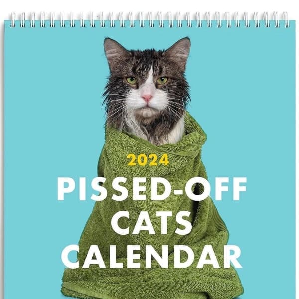 2024 Pissed-off Cats -seinäkalenteri