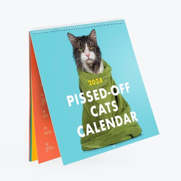 2024 Pissed-off Cats Kalender Väggkalender