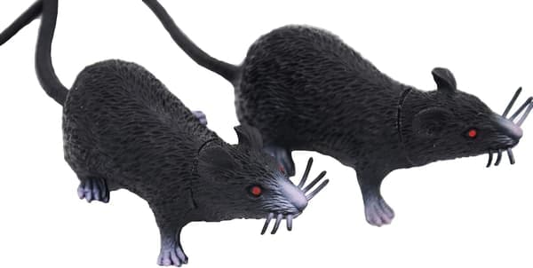 Realistisk plastedderkopp, Halloween-spøkerekvisitt, liten størrelse, morsom