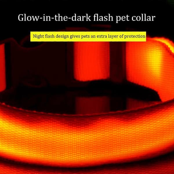 LED hundehalsbånd, oppladbart, lysende, justerbart, reflekterende