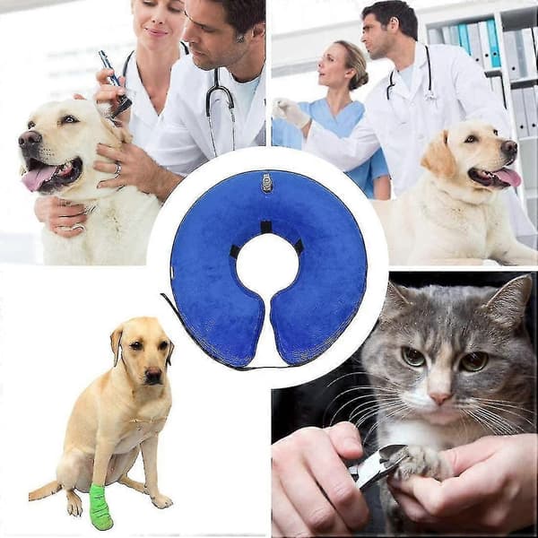 Mjuk hundkonhalsband efter operation, uppblåsbart husdjurshalsband med justerbart spänne (blå, XS) (d-b2)