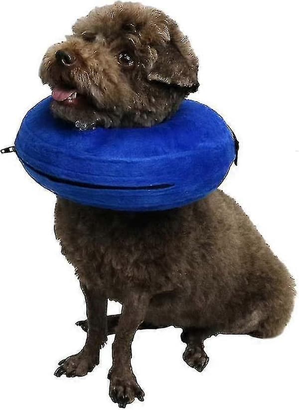 Mjuk hundkonhalsband efter operation, uppblåsbart husdjurshalsband med justerbart spänne (blå, XS) (d-b2)