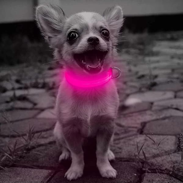 LED hundehalsbånd, genopladeligt, lysende, justerbart, reflekterende