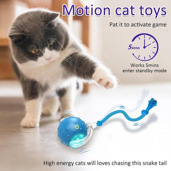 Liten Apport Hundleksak, Tinyfetch Interaktiva Hundleksaker Kattbollar, Snabbt Rörlig Boll