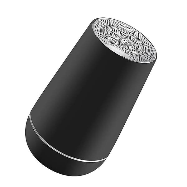 Bärbar Trådlös Utomhushögtalare (Svart)
