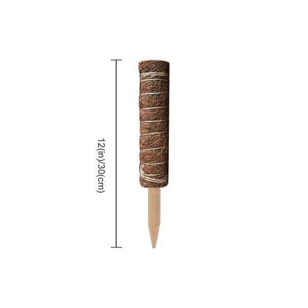 30 cm 2-pack Växtstöd, Kokosstöd, Kokospåle, Kokospinne na