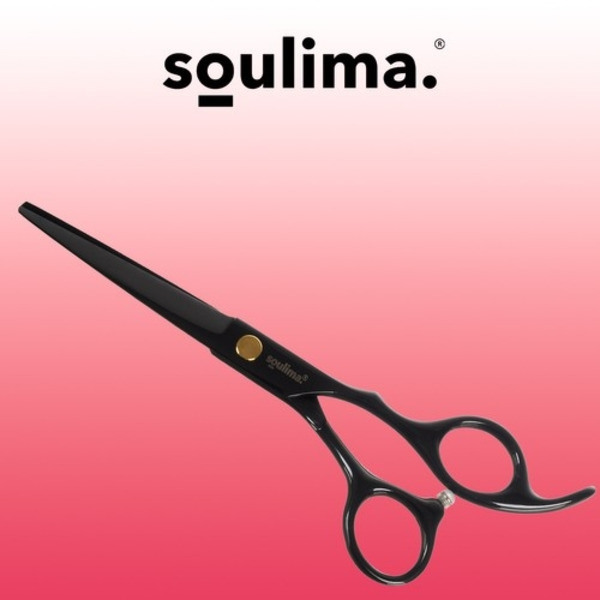Hairdressing Scissors / Scissors - 17 cm, AB
