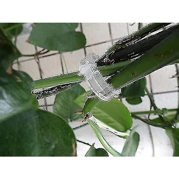 100 st Växtklämmor Blomklämmor Perfekt för att Fästa Växter till Växter, A