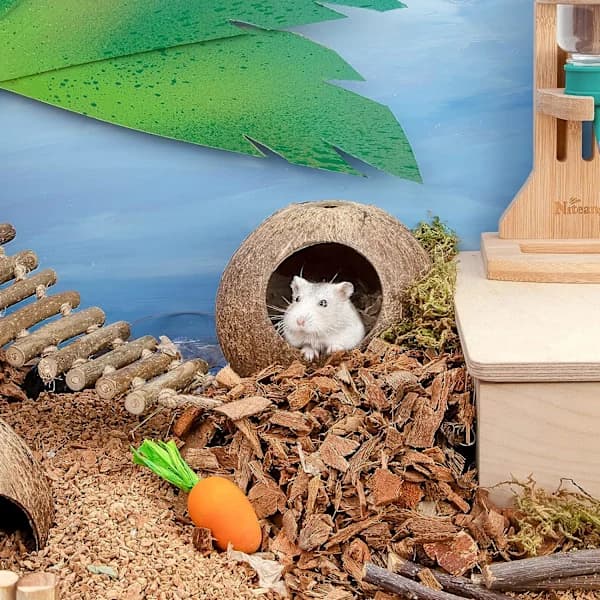 Coco Hut Hamsterhus Säng för Gerbiler Möss Smådjursbur Hab,A