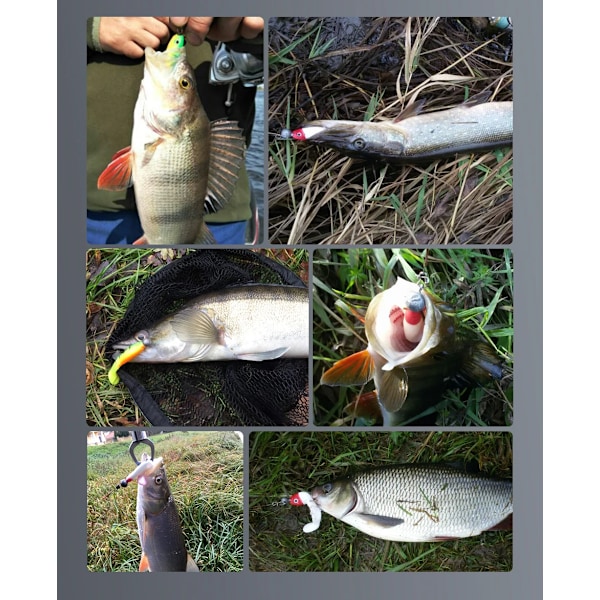 MEREDITH Cannibal Bete 80mm 100mm 125mm Konstgjort Mjukt Fiskbete Swinger Fiskbete Mjukt Silikon Fiskmaskbete F 125mm 3-pack