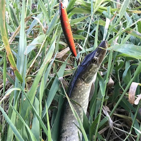 Långstjärtad malbete 10cm 9g flytande hårt bete skakare konstgjord crank 3D-öga 10 färger karp abborre fiskeredskap E