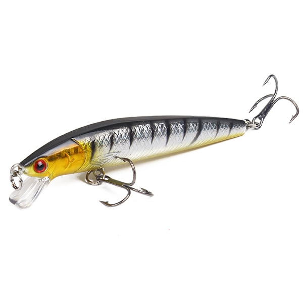 Långstjärtad malbete 10cm 9g flytande hårt bete skakare konstgjord crank 3D-öga 10 färger karp abborre fiskeredskap J