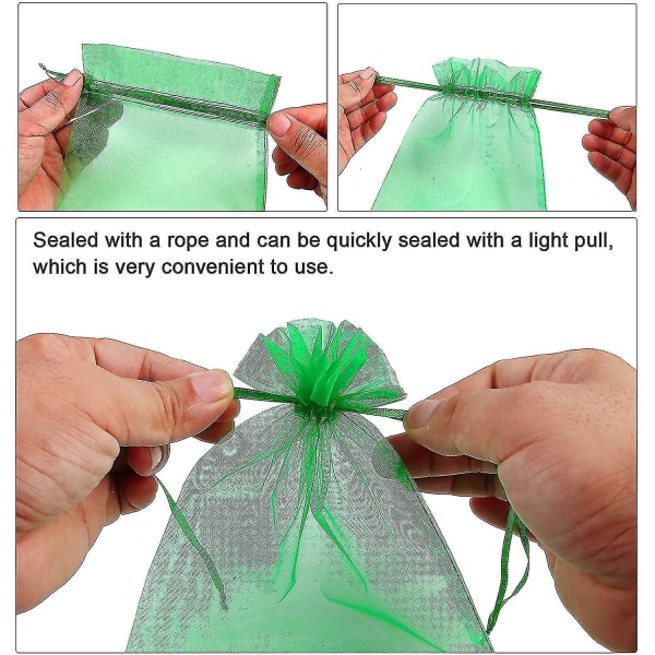 100pcs Bunch Protection Bag 23x17cm Grape Fruit Organza Bag With Drawstring Gives Green