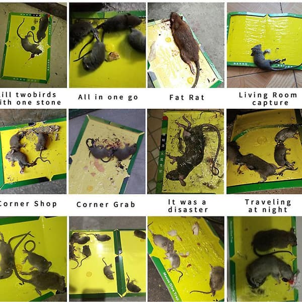 Sticky Mouse Board Mouse Trap Sticky Board, Strong Stickiness, Mouse Trap 3 Packs