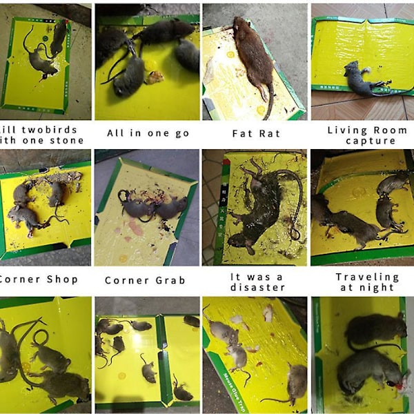 Sticky Mouse Board musefælde sticky board, stærk klæbeevne, musefælde 3 pakker