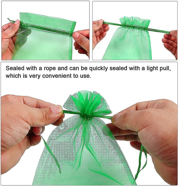 100pcs Bunch Protection Bag 23x17cm Grape Fruit Organza Bag With Drawstring Gives Green