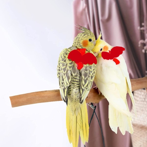 Adjustable Bird Harness With 80 Inch Leash, Outdoor Flying Kit Training Rope For Birds Parrots Cockatiel Red M