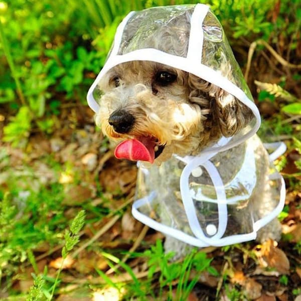 Hunde Regnfrakke Med Hætte Poncho Transparent Regnfrakke Til Små Hunde WHITE L