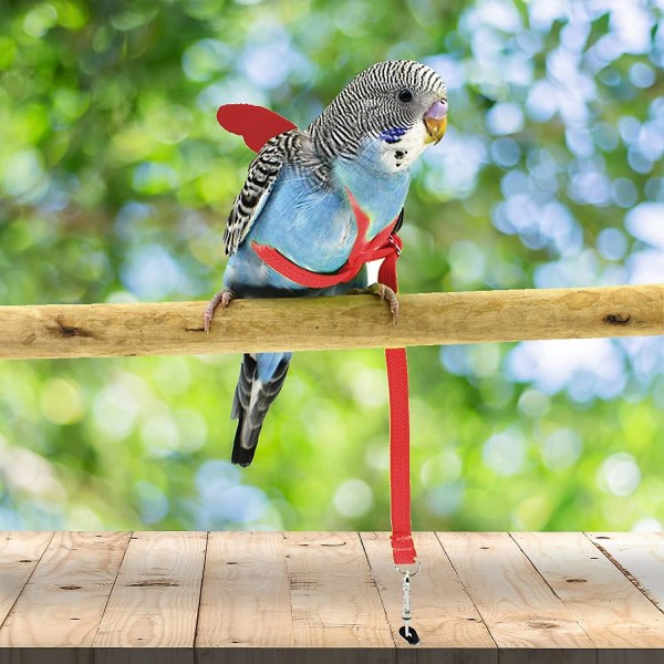 Adjustable Bird Harness With 80 Inch Leash, Outdoor Flying Kit Training Rope For Birds Parrots Cockatiel Red XL