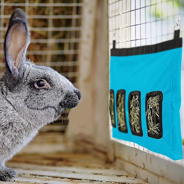 Rabbit Hay Feeding Station Hay Feed Dispenser For Rabbits 28*46*4cm Blue