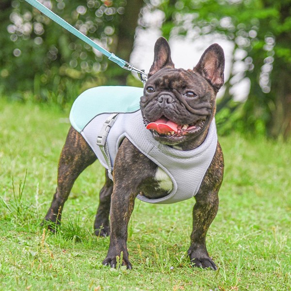 Dog Cooling Vest,dog Cooling Coat,evaporative Swamp Cooler Jacket Safety Reflective Vest For Large Dogs Walking Outdoor Hunting Training Camping green XL (back length 50CM)