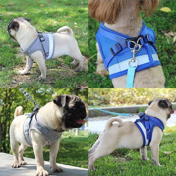 Cat Harness, Cat Harness Escape Proof Black XL