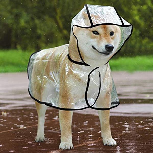 Regnfrakk til hund med hette Poncho Transparent regnfrakk for små hunder BLACK M