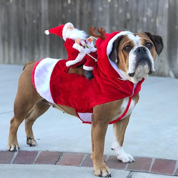 Julekostume til kæledyr, hund, kat, juleoutfit, julekostume til hund S