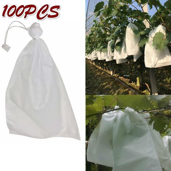 100pcs Drawstring Style Grape Protect Bag Fruit Protection Bags Mesh Bag Against Insects Pouch