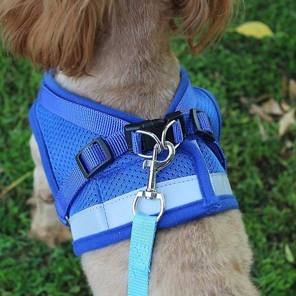 Cat Harness, Cat Harness Escape Proof Blue S