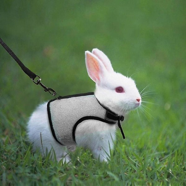 Rabbit Harnesses Vest Leashes Set Soft Mesh Harness With Leash Small Animal Guinea Pig Hamsters Light Blue M