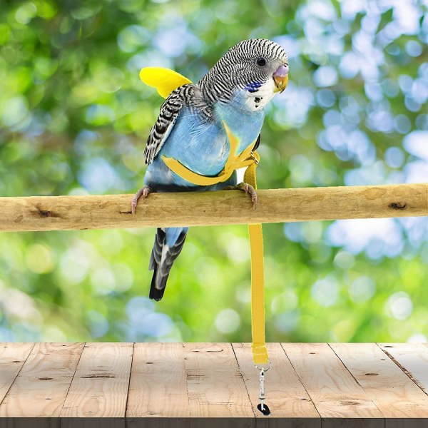 Adjustable Bird Harness With 80 Inch Leash, Outdoor Flying Kit Training Rope For Birds Parrots Cockatiel Yellow M