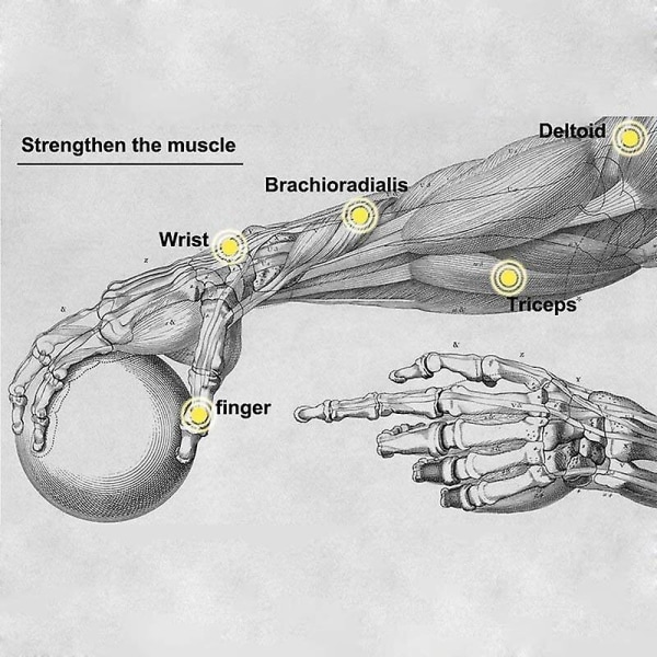Gyroscope Powerball Led Gyro Power Håndledsbold Arm Træning Styrke Træning Energyball Hjemme Fitnesscenter Sports Fitnessudstyr green