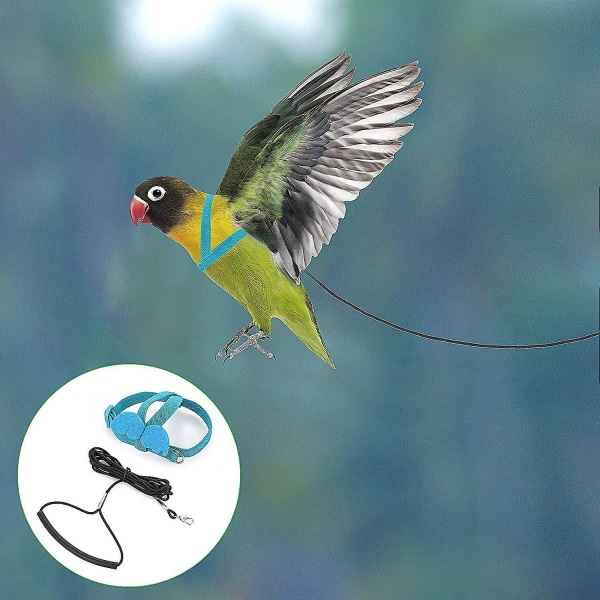 Adjustable Bird Harness With 80 Inch Leash, Outdoor Flying Kit Training Rope For Birds Parrots Cockatiel Blue M