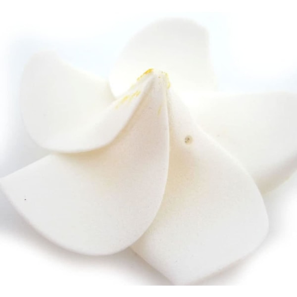 100 Pack White Foam Hawaiian Frangipani Artificial Plumeria Flower Petals Cap Hair Hat Wre