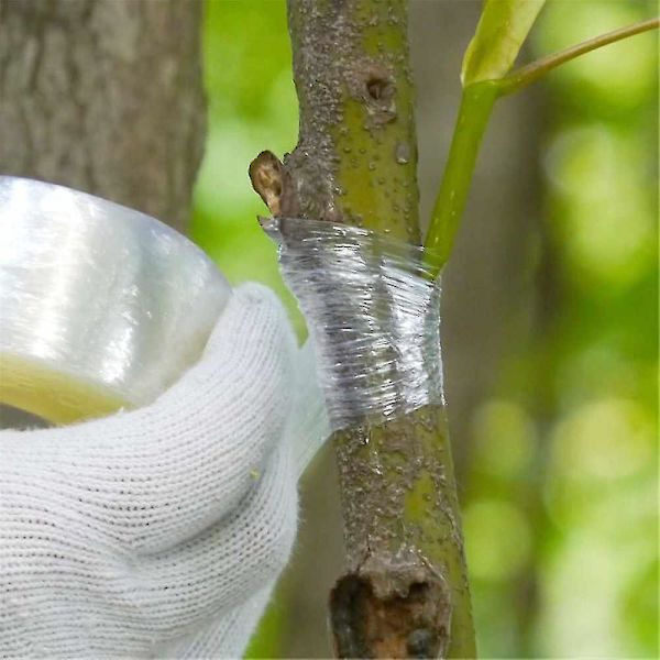 100m Self-adhesive Fruit Tree Grafting Tape Plants Tools Nursery