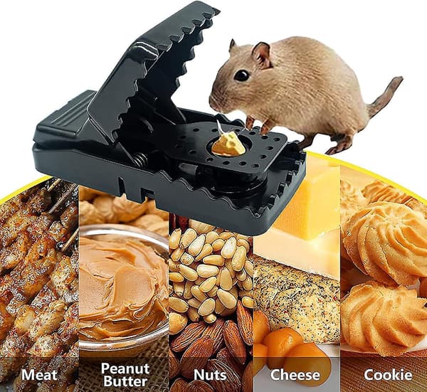 Reusable Mouse Trap 6 Pack Mouse Traps For Indoors And Outdoors That Kill Instantly Quick Effective And Highly Sensitive Rodent Catcher
