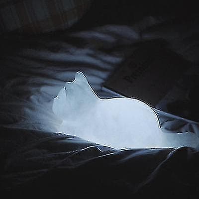 Vinyl Cat Night Light,portable Animal Lamp For Bedroom