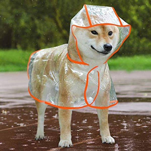 Hunde Regnfrakke Med Hætte Poncho Transparent Regnfrakke Til Små Hunde ORANGE L