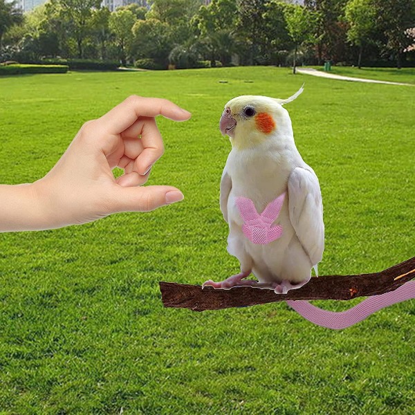 Adjustable Bird Harness With 80 Inch Leash, Outdoor Flying Kit Training Rope For Birds Parrots Cockatiel Pink M