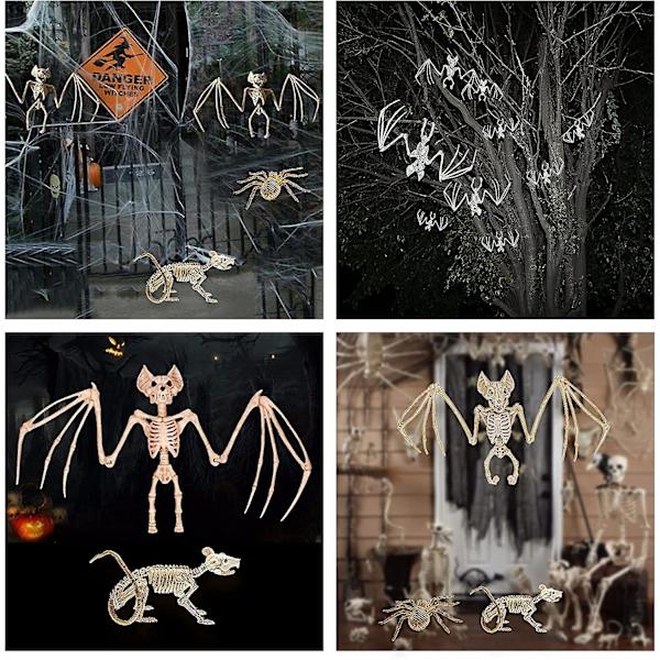 3 kpl Halloween Lepakko Luuranko Halloween Hämähäkki Luuranko Halloween Hiiri Luuranko Pelottavat Eläinten Luut Realistiset Lepakon Luut Halloween Koristeet