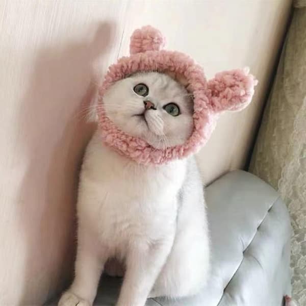 Pet Hat, Bear Plush Headgear (pink) S